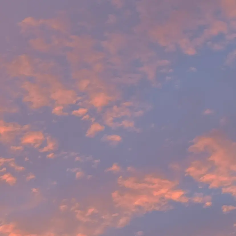 渋谷/透明感カラー/ 🩶Miwa🩶の掲載