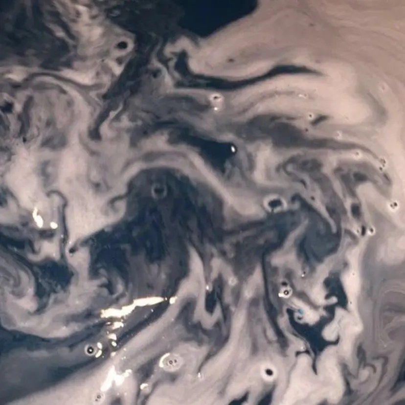 ヒガセ コハの掲載