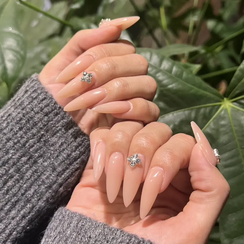 FOINAIL sakuraの掲載