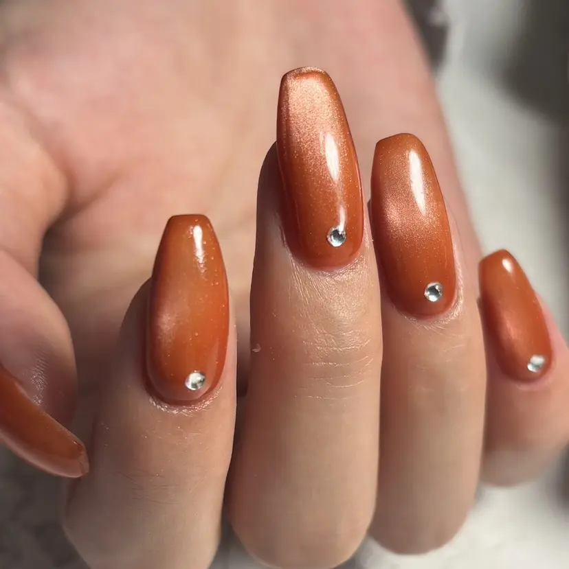 osakana nailの掲載