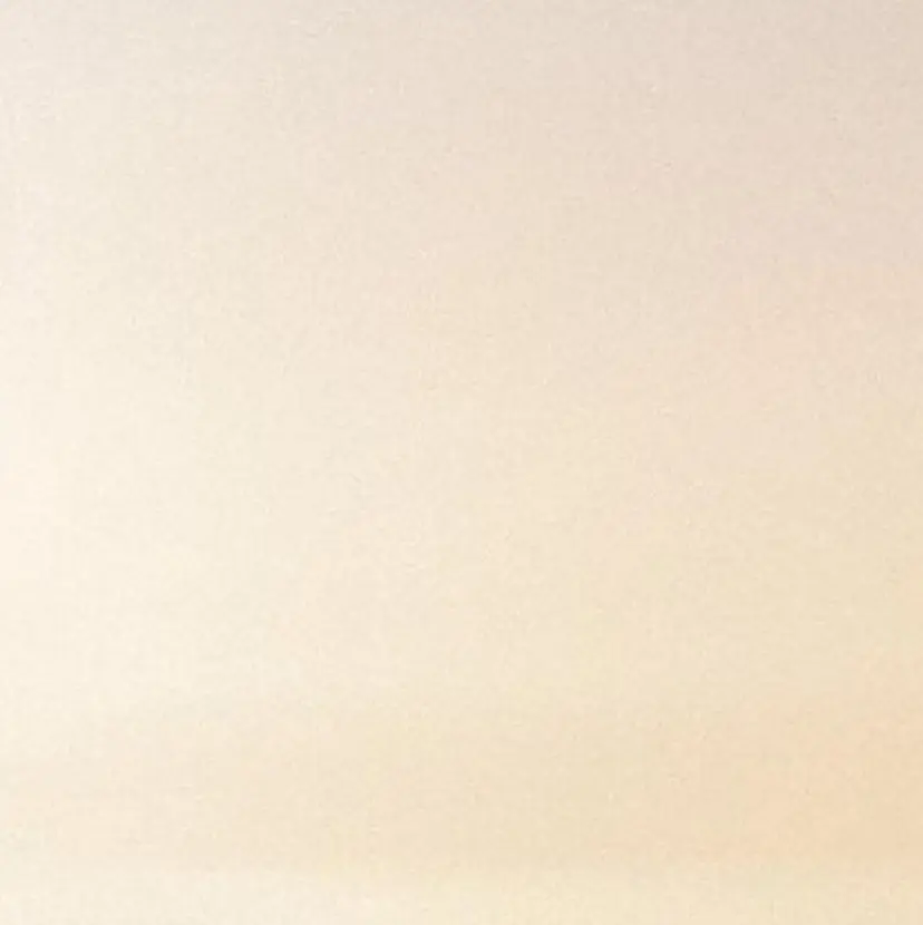 太田 奈留の掲載