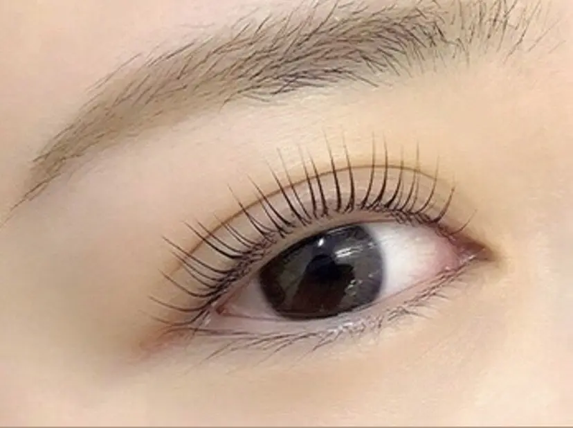 マリーテレジア AKARIの掲載