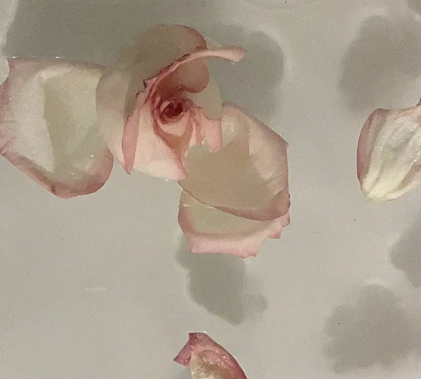 Glad nail hanaの掲載