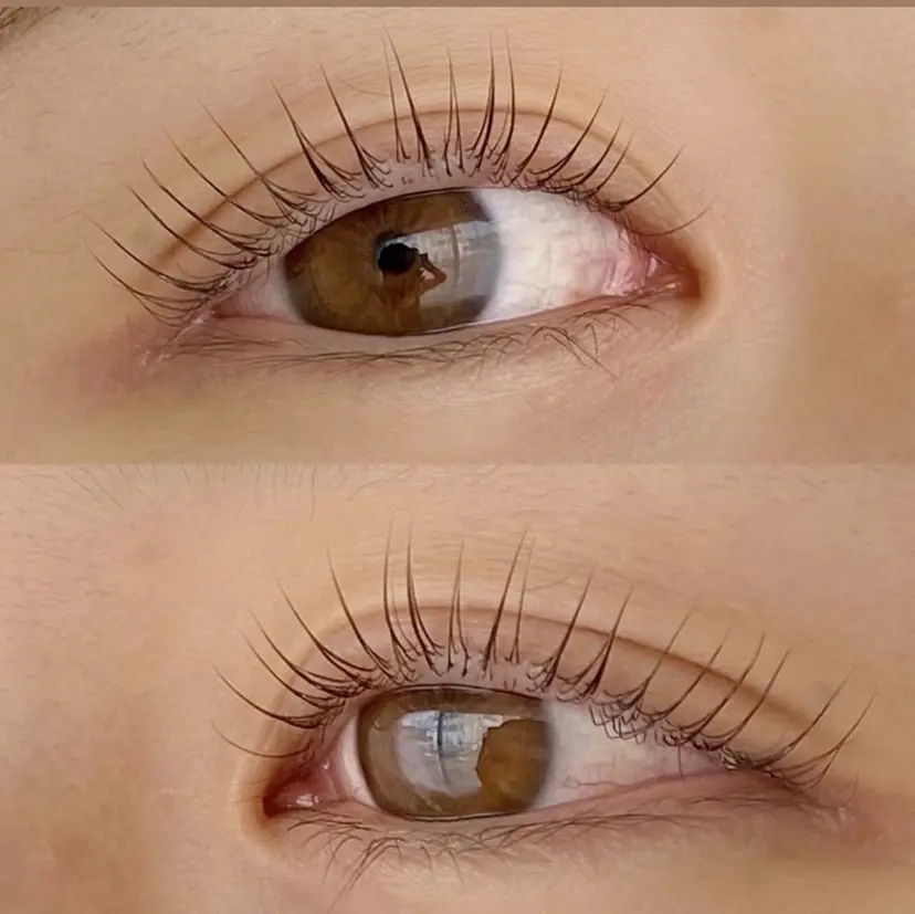 オクターブ新百合ヶ丘 ナンバの掲載