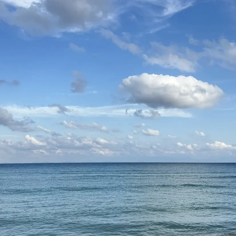 大神 鈴夏の掲載