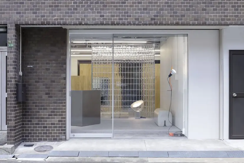 透明感艶カラー/ リュウジンキョウカの掲載