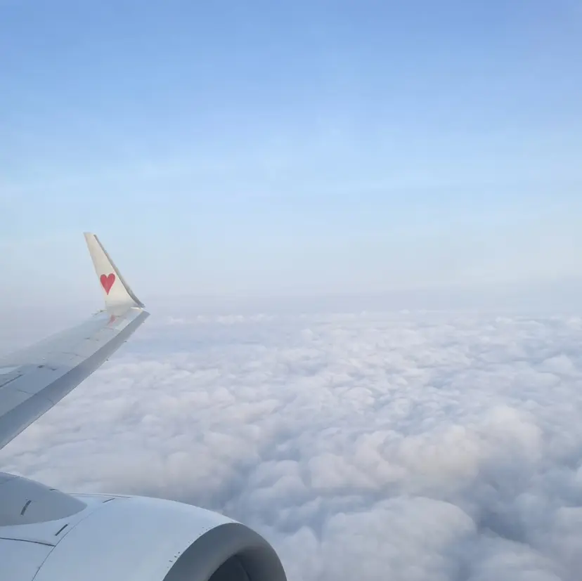安部 来海の掲載