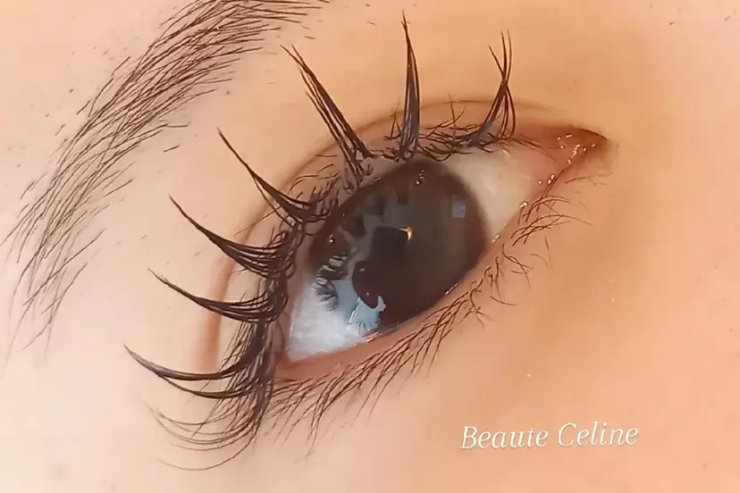 束感🌛beaute  celineの掲載