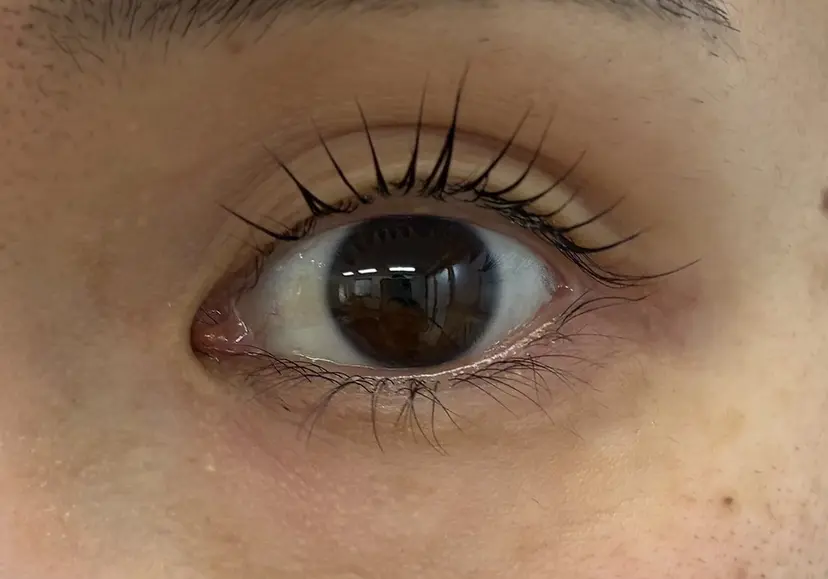 大野 真紀の掲載