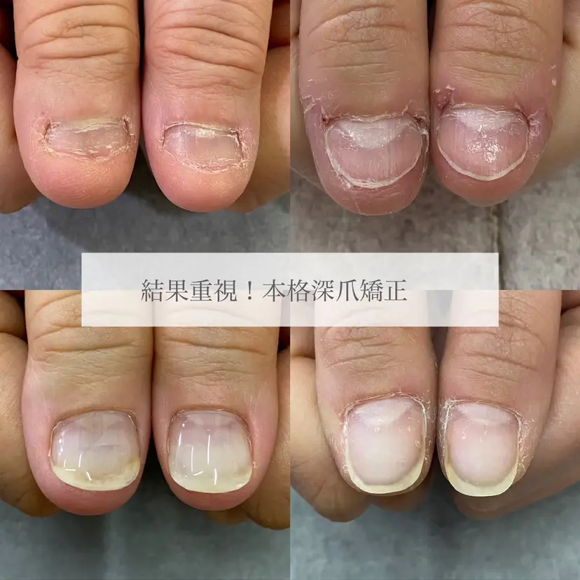 舞鶴 奈々美の掲載