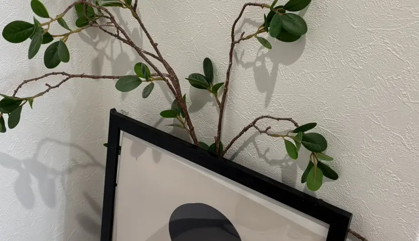 en_ Nanamiの掲載