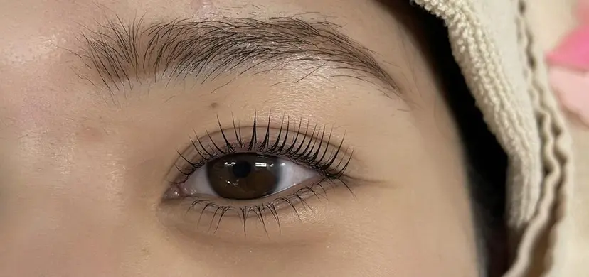 マリーテレジア あかりの掲載