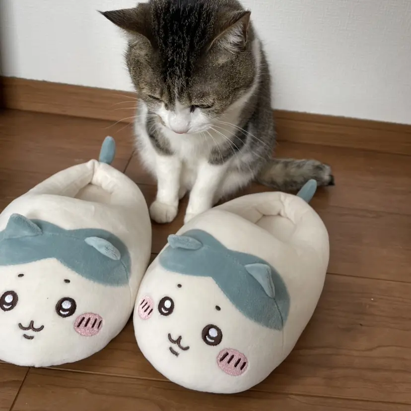 木村 春香の掲載