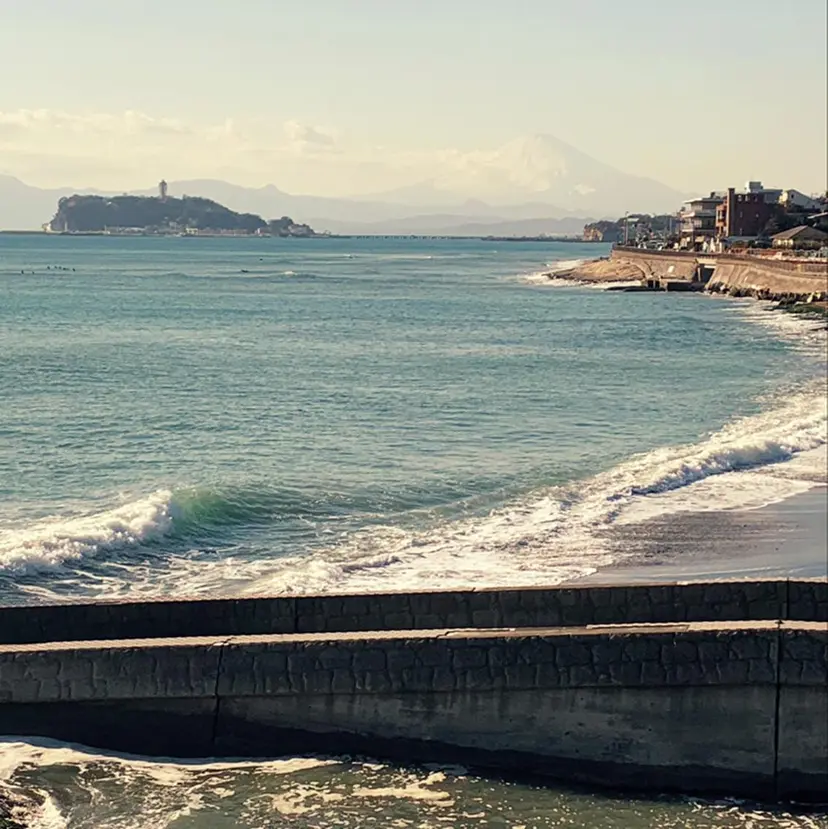 五島 拓海の掲載