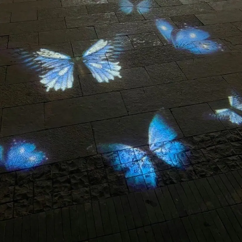 ⟡.· ᴋᴜʀᴜᴍɪ ✩.*の掲載