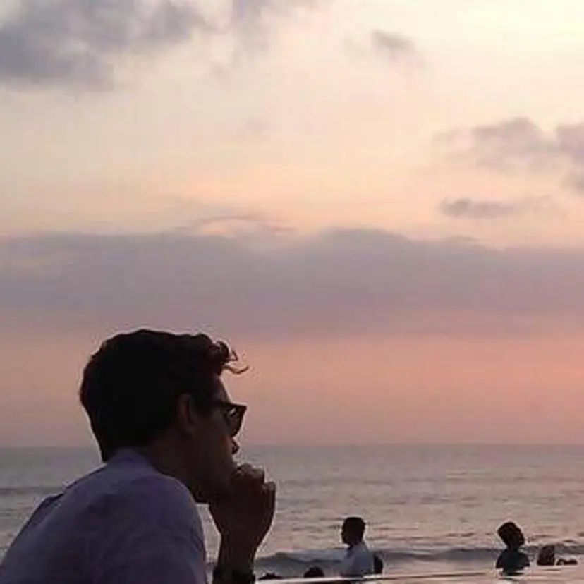 トミタ ショウヘイの掲載