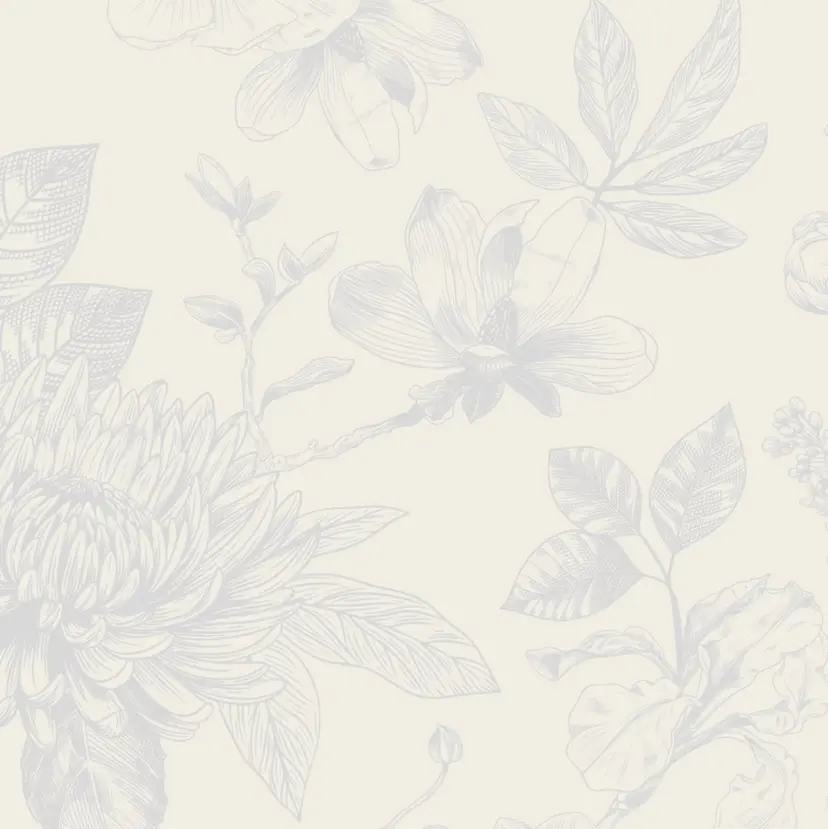 LOWE / Chiakiの掲載