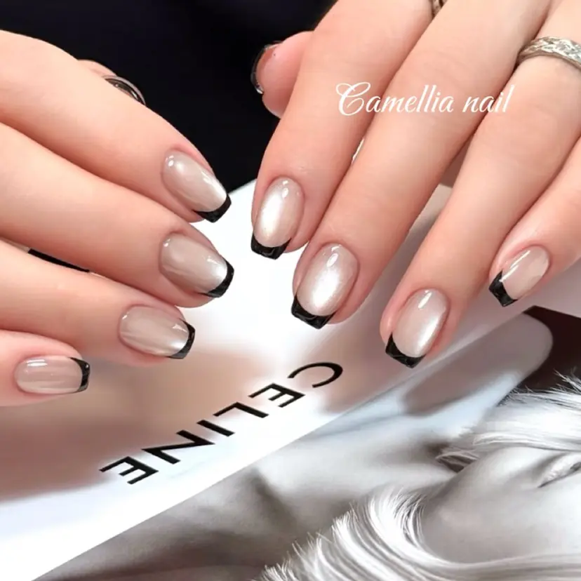 カメリア 川崎の掲載