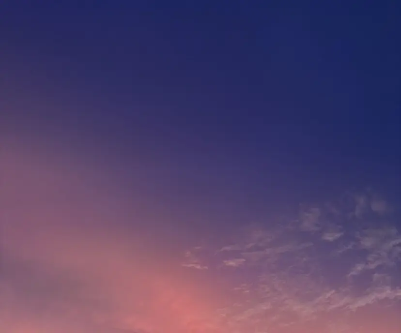 金田 涼平の掲載