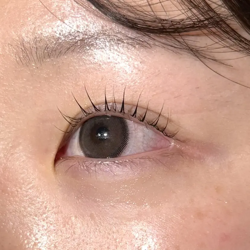 永井 紫音の掲載