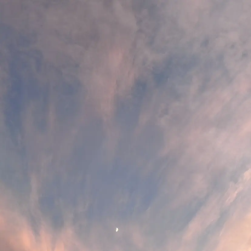 斎藤 真生の掲載