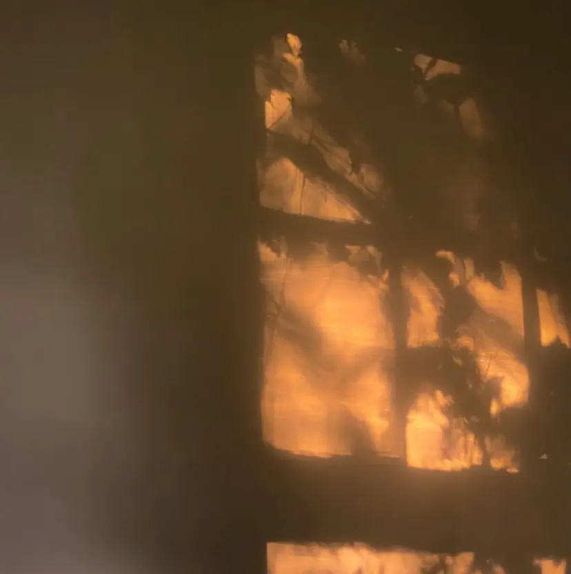 kawasaki hiroeの掲載