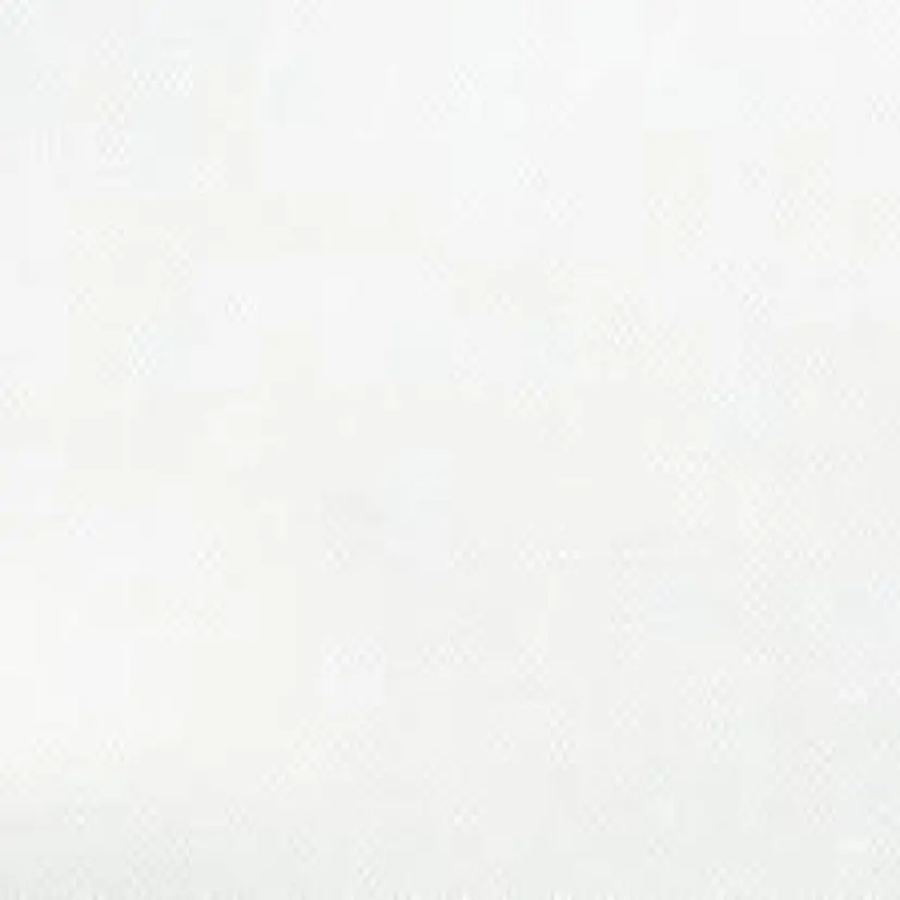 . LISAの掲載