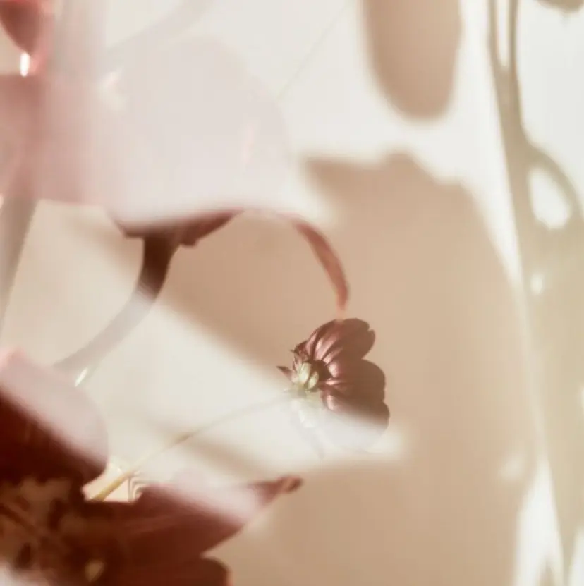 染谷 月菜の掲載