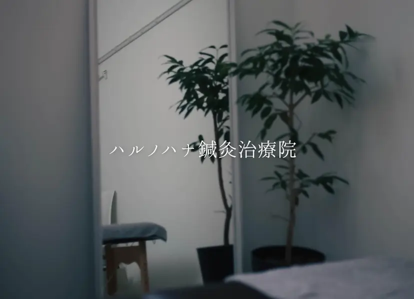 中野 夢香の掲載