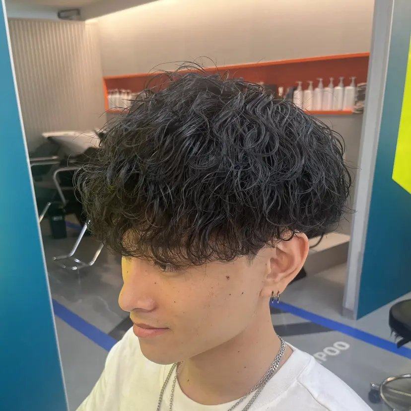松井 陸の掲載