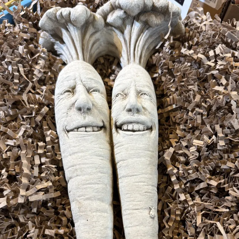 山田 美月の掲載