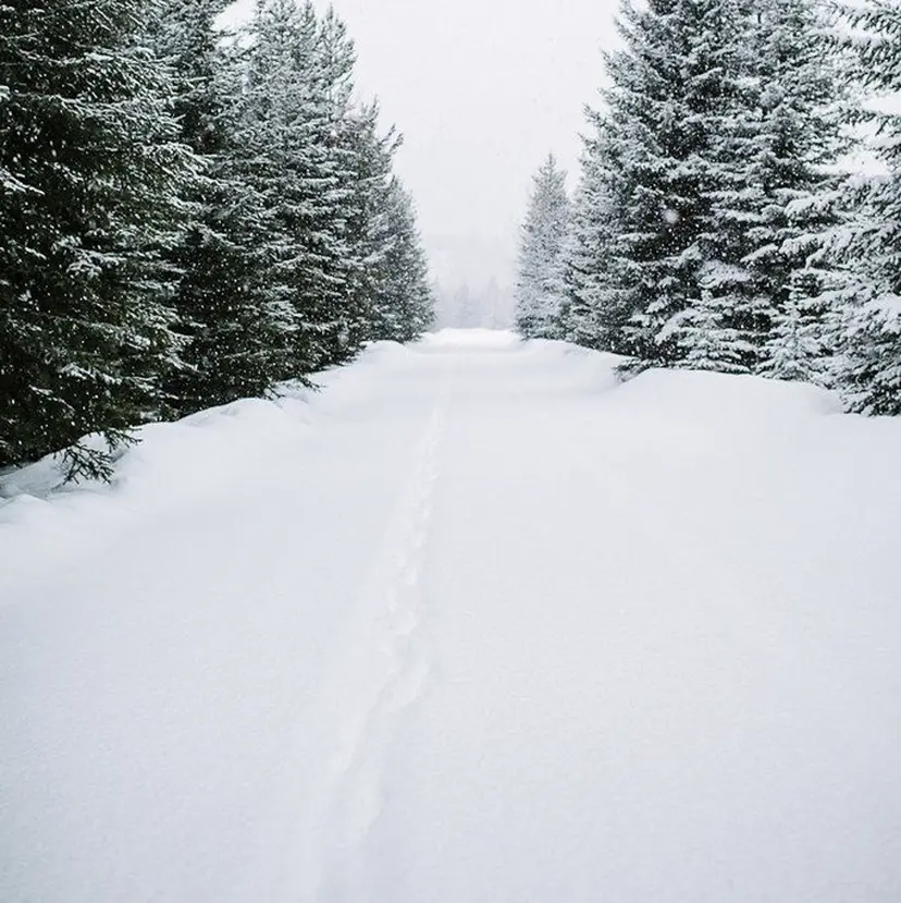近藤 乃紀の掲載