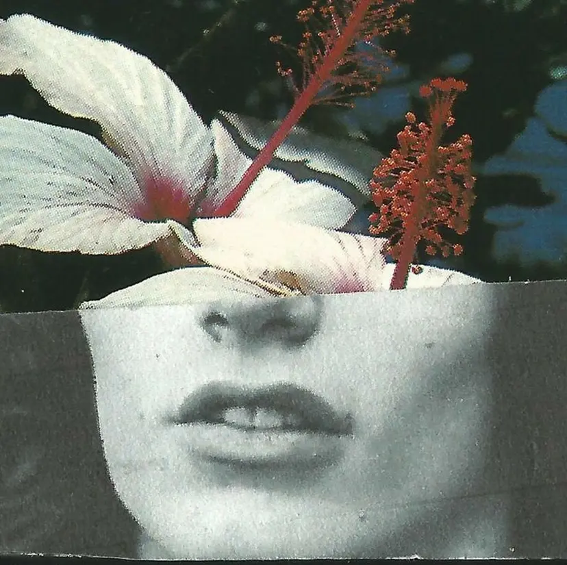 LOAVE 🦋華   乃🦋の掲載