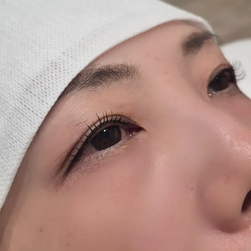 Pualice 木本の掲載