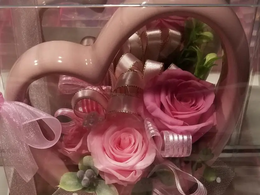 HISANAGA YUKAの掲載