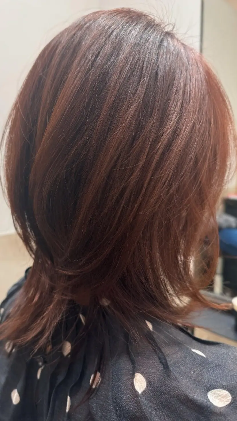 サイトウ タクマの掲載