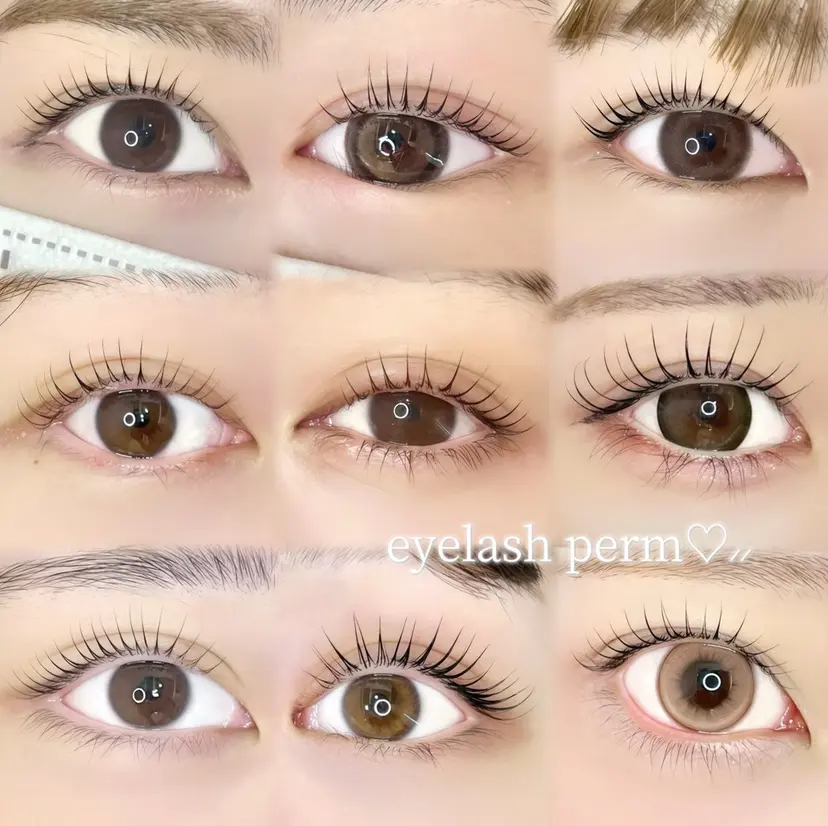 福家 実輝の掲載