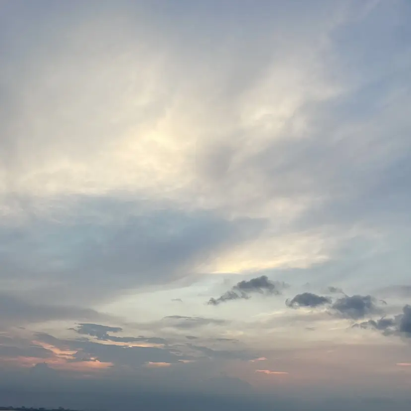 土田 アキナの掲載