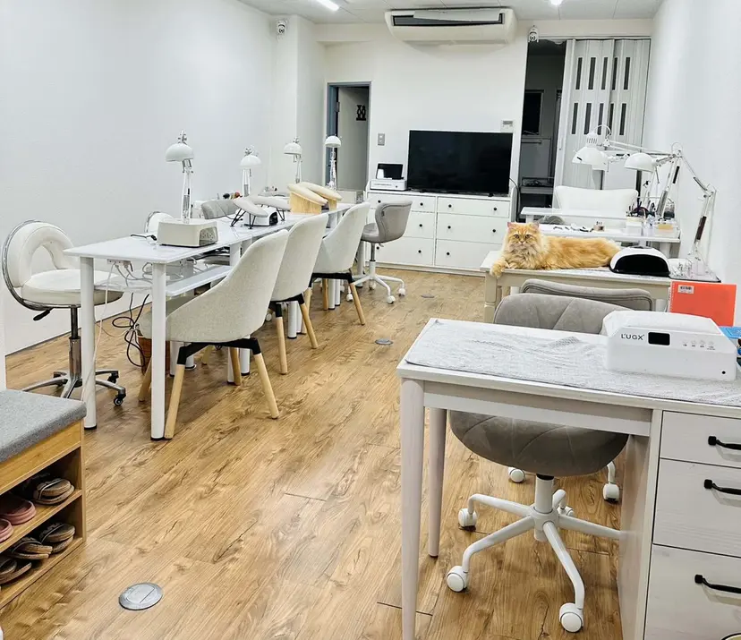 JINIE ジンの掲載