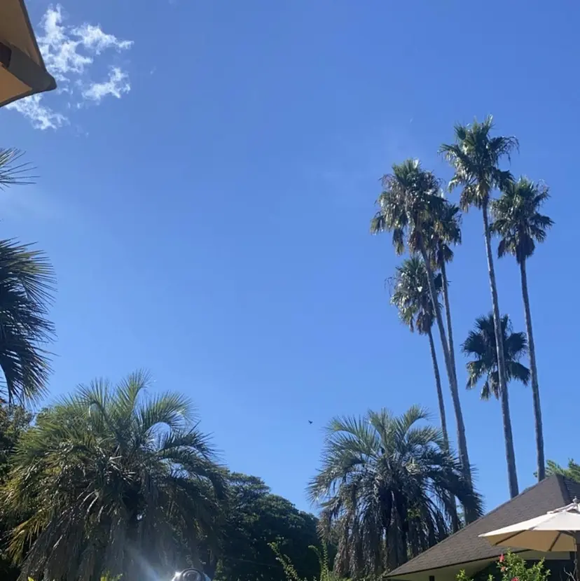 上野 莉菜の掲載