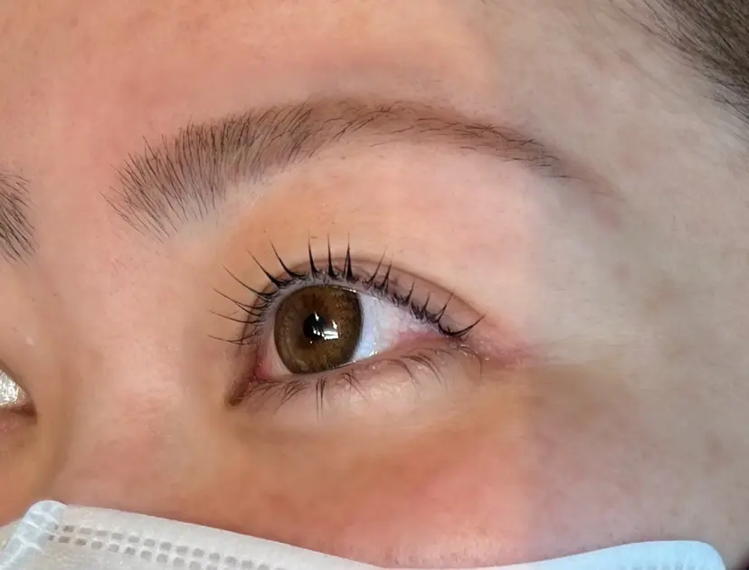 阿部 南星の掲載