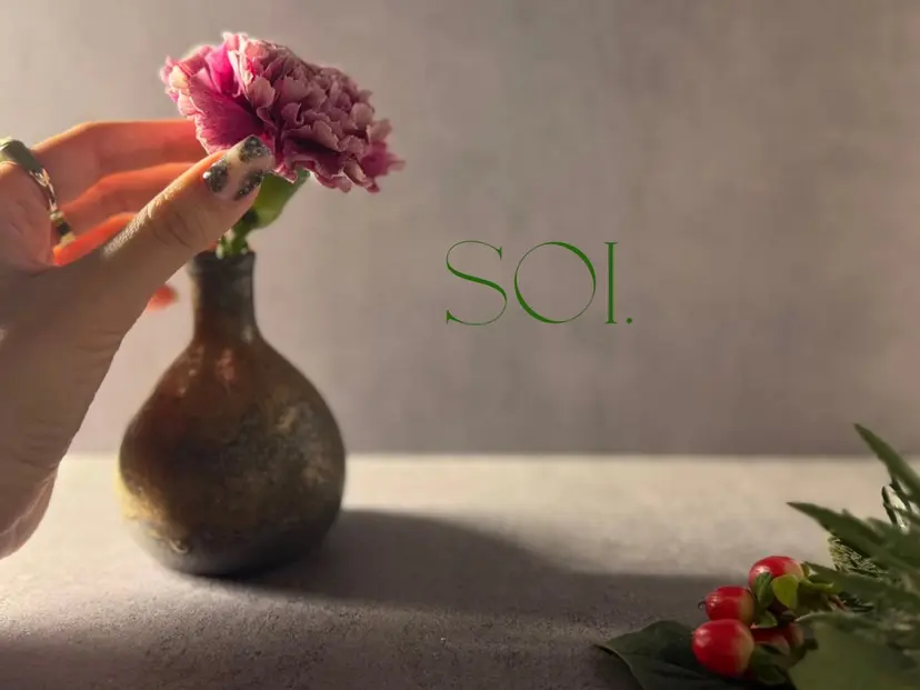 Atelier Soiの掲載