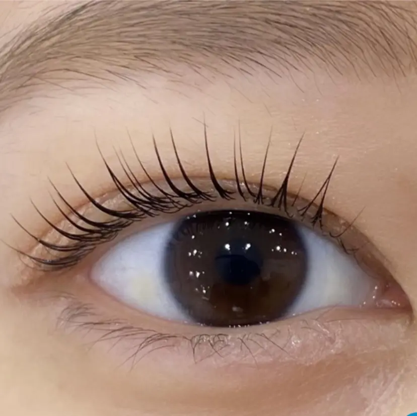 Une fleur sayakaの掲載