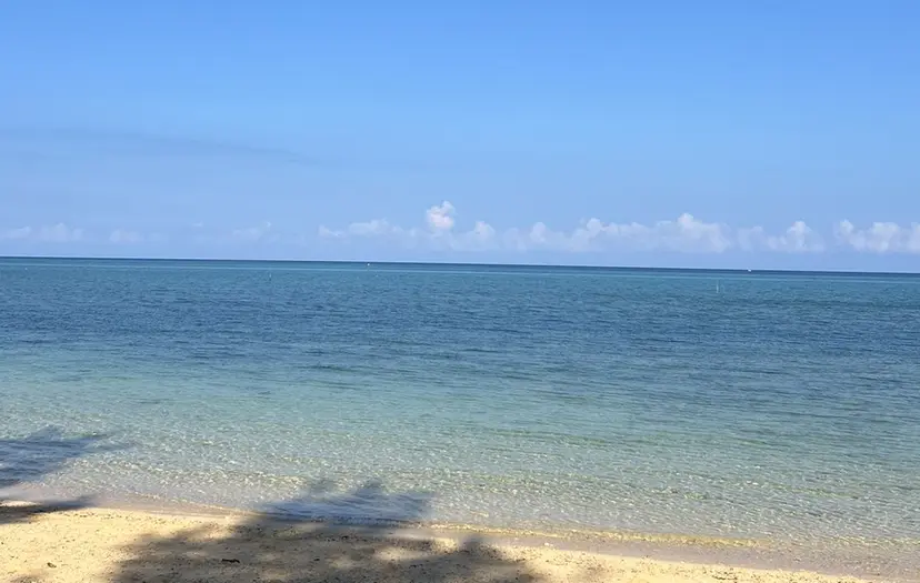 tomona 🎀🎀の掲載