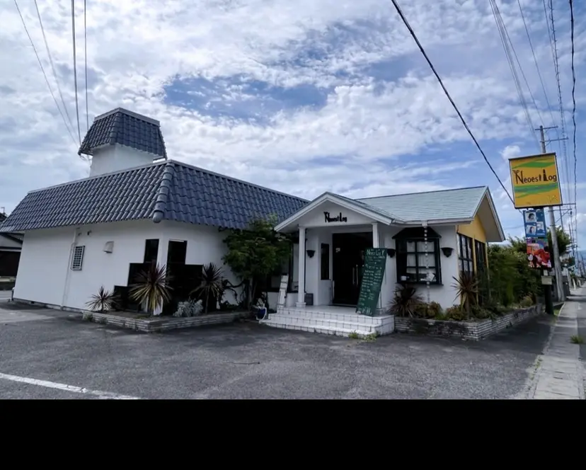 吉川 流音の掲載