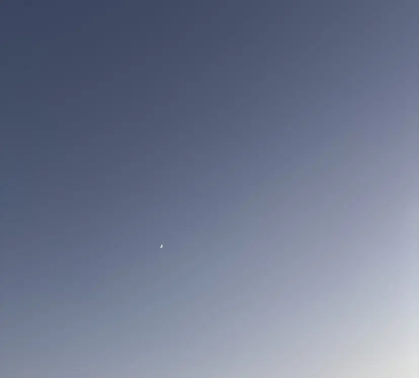 ワンホン/艶髪/韓国 🦋kokona🦋の掲載