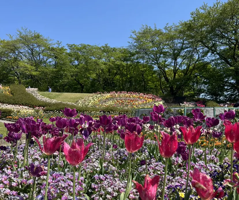 ０円メンズカット✂️ ／浅野未来🌼.*の掲載