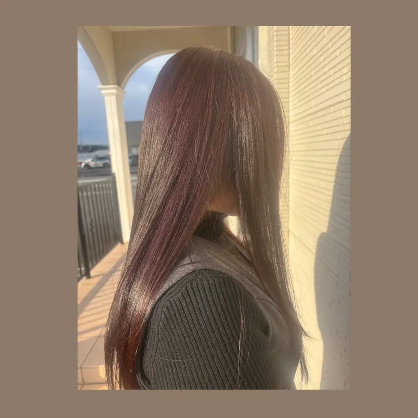 酒向 里恵の掲載