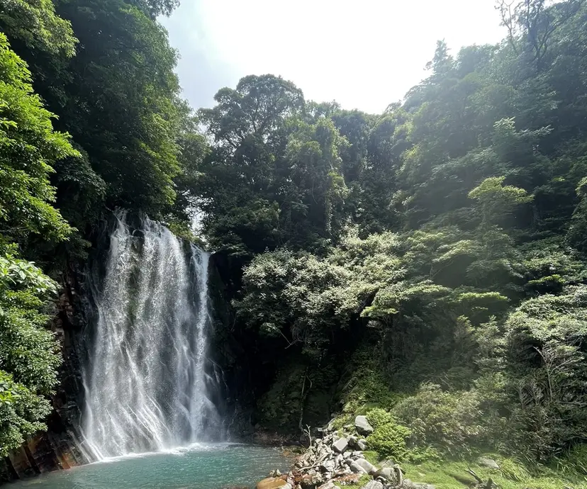 岩尾 瑛斗の掲載