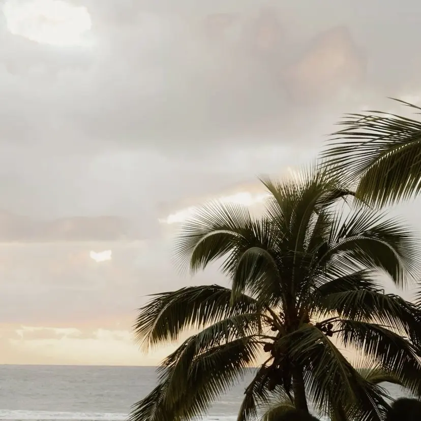 Nail.108 我妻の掲載